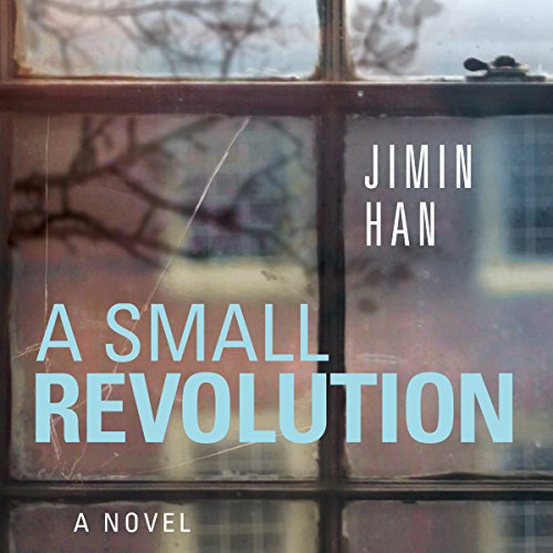 Cover of A Small Revolution