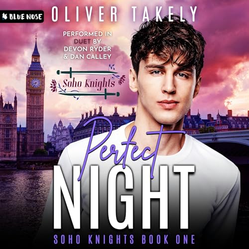 Cover of Perfect Night