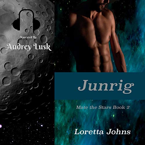 Cover of Junrig