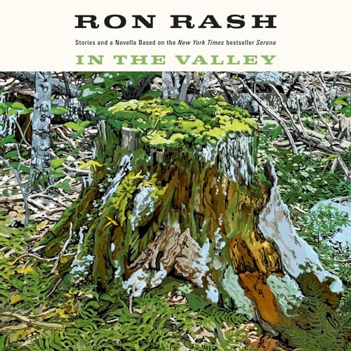 Cover of In the Valley