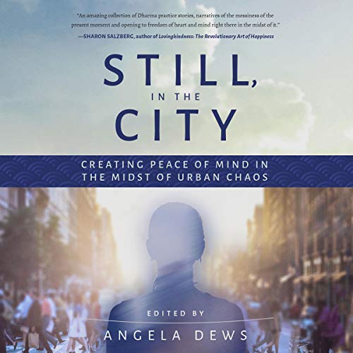 Cover of Still, In the City
