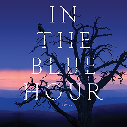 Cover of In the Blue Hour