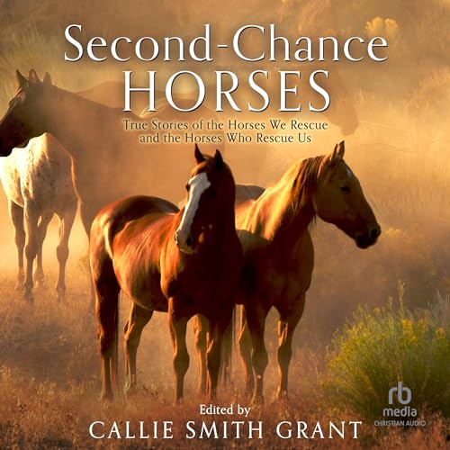 Cover of Second-Chance Horses