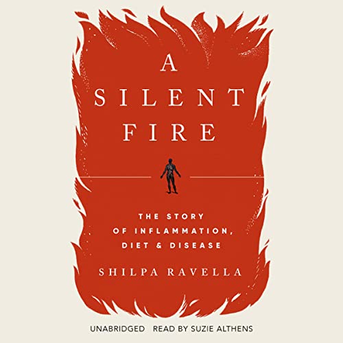 Cover of A Silent Fire