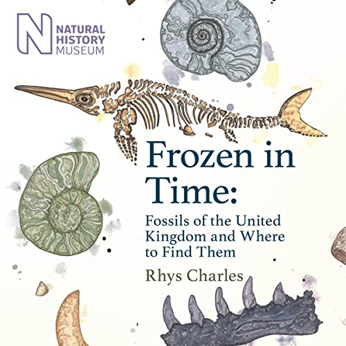 Cover of Frozen in Time