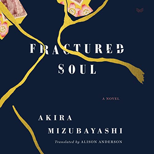 Cover of Fractured Soul