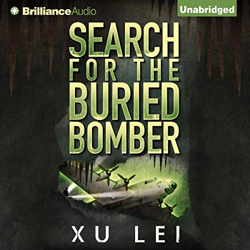 Cover of Search for the Buried Bomber