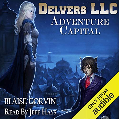 Cover of Delvers LLC: Adventure Capital