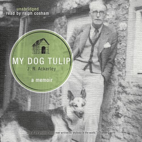 Cover of My Dog Tulip