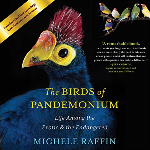 Cover of The Birds of Pandemonium