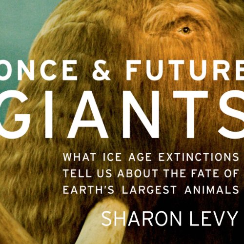 Cover of Once and Future Giants