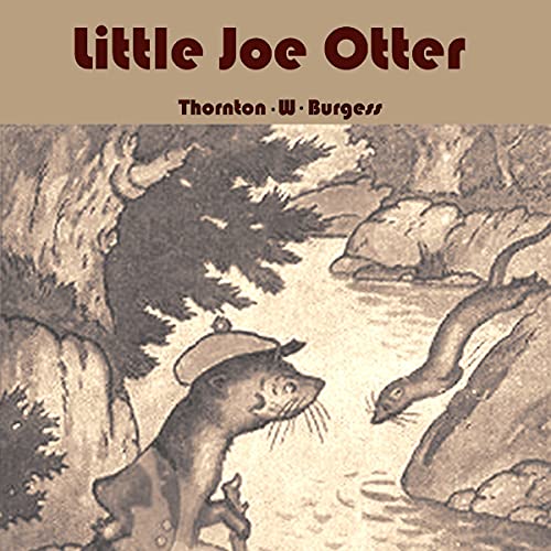 Cover of Little Joe Otter