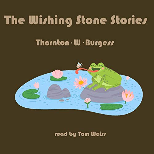 Cover of The Wishing Stone Stories