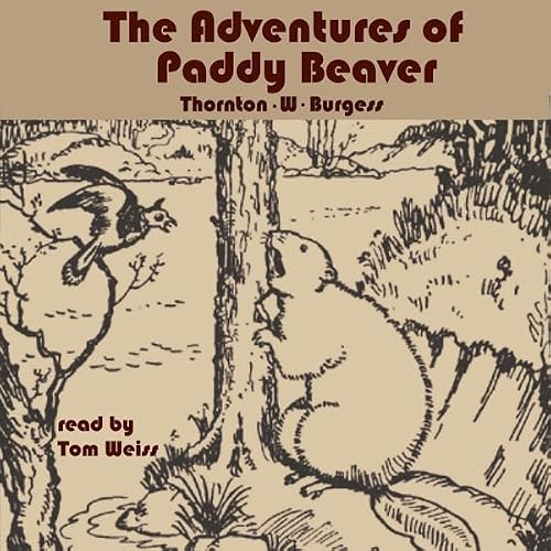 Cover of The Adventures of Paddy Beaver