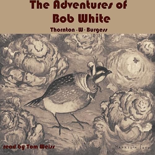 Cover of The Adventures of Bob White