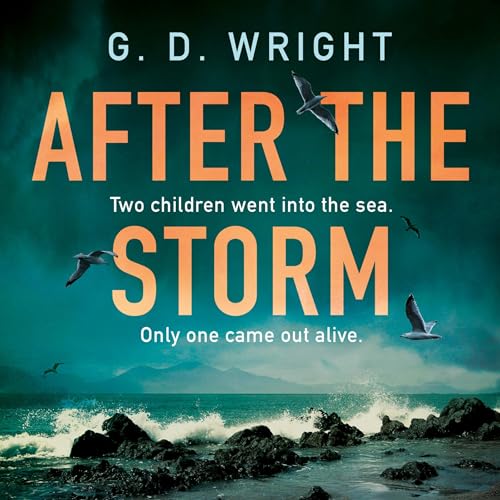 Cover of After the Storm
