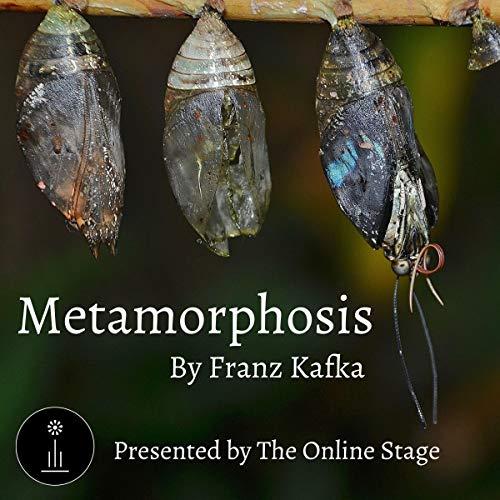 Cover of Metamorphosis
