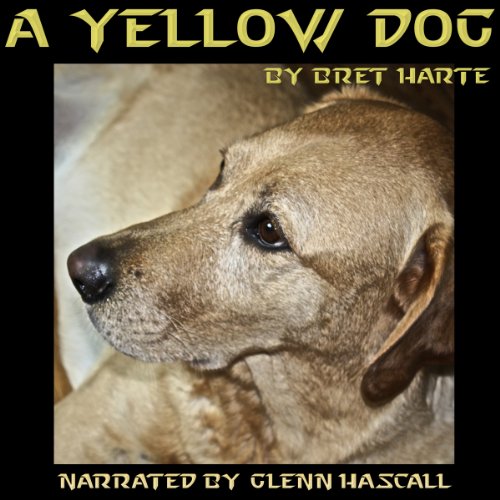 Cover of A Yellow Dog