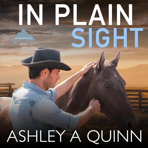 Cover of In Plain Sight