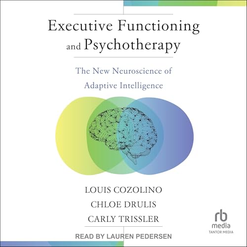 Cover of Executive Functioning and Psychotherapy
