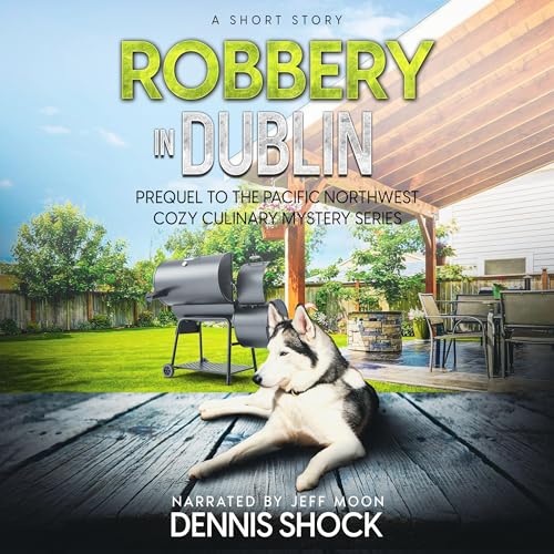 Cover of Robbery in Dublin