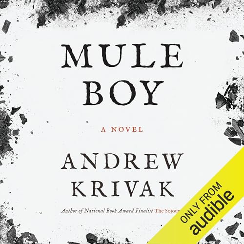 Cover of Mule Boy
