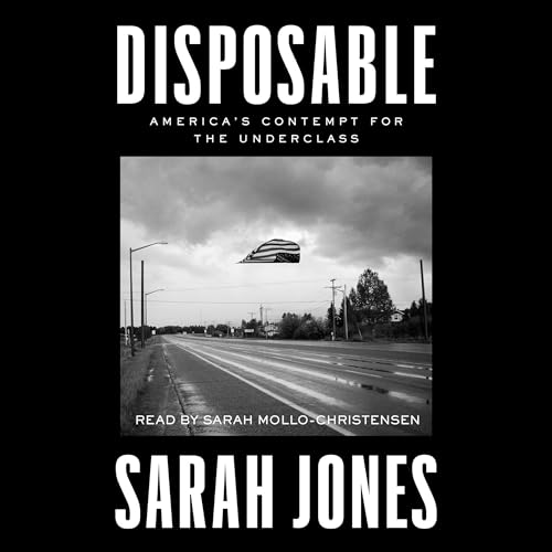 Cover of Disposable