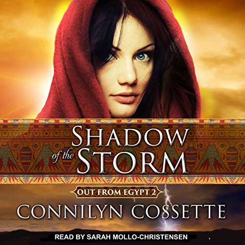 Cover of Shadow of the Storm