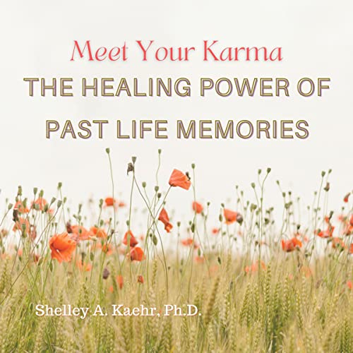 Cover of Meet Your Karma