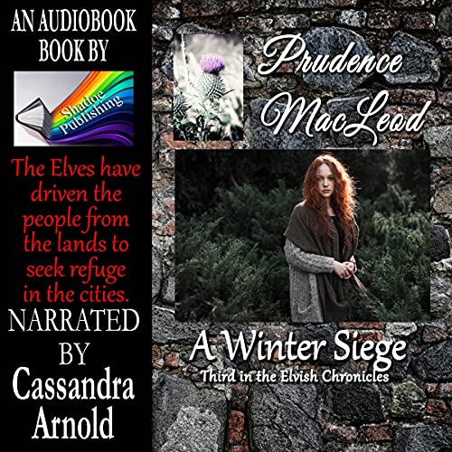 Cover of A Winter Siege