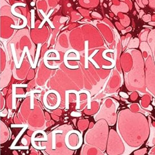 Cover of Six Weeks from Zero