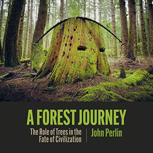 Cover of A Forest Journey