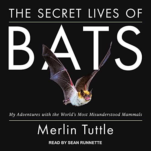 Cover of The Secret Lives of Bats