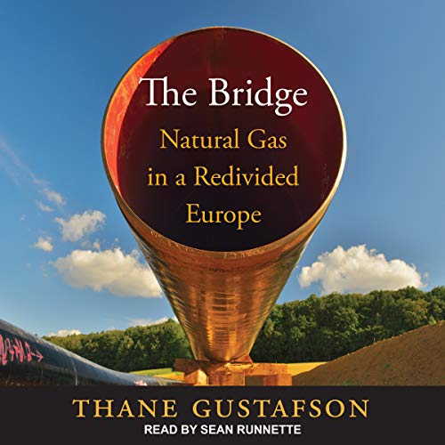 Cover of The Bridge