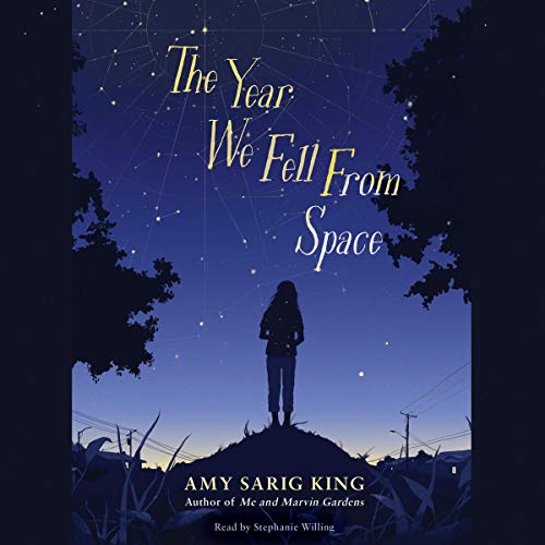 Cover of The Year We Fell from Space