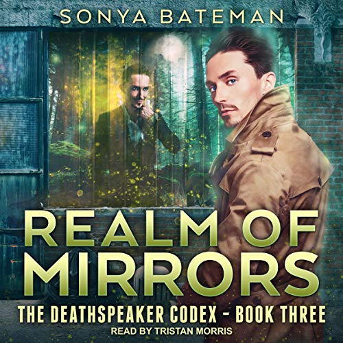 Cover of Realm of Mirrors