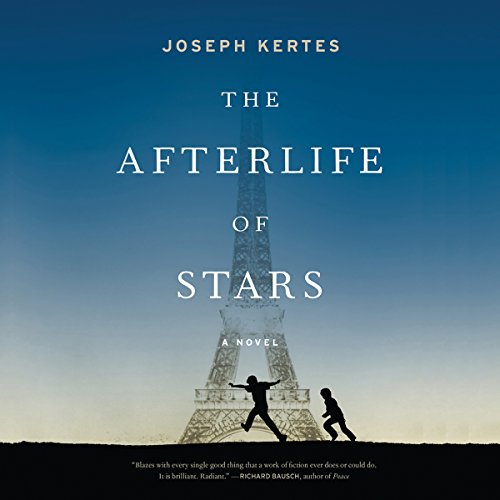 Cover of The Afterlife of Stars
