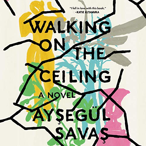 Cover of Walking on the Ceiling