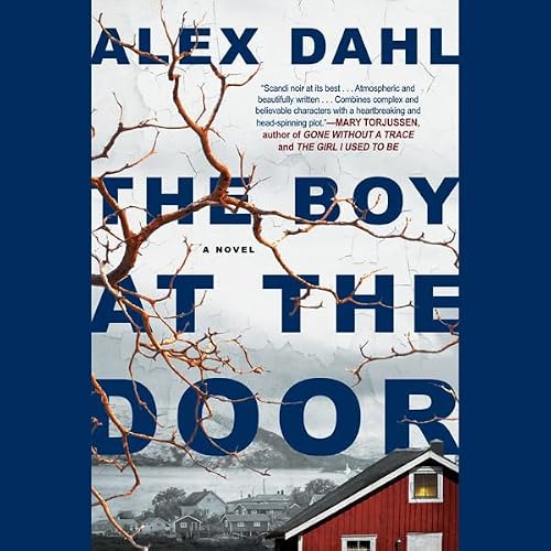 Cover of The Boy at the Door