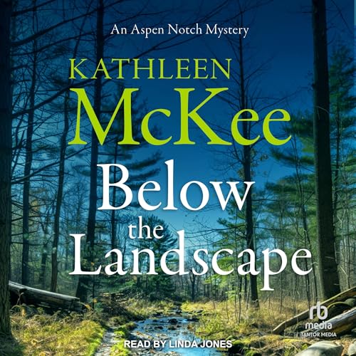 Cover of Below the Landscape