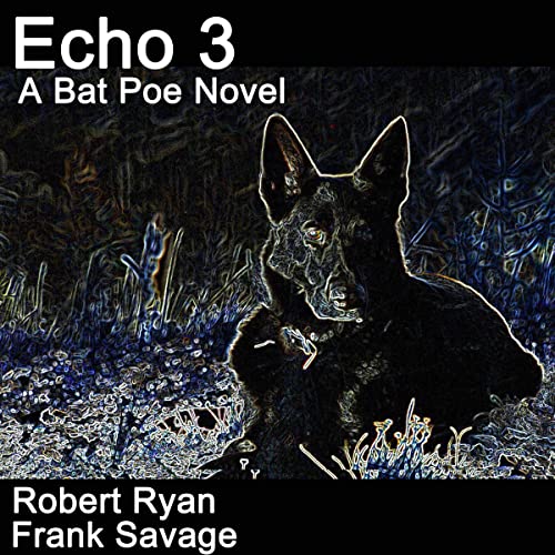 Cover of Echo 3