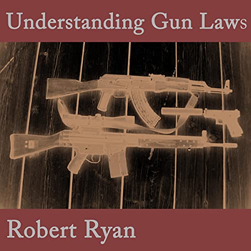 Cover of Understanding Gun Laws