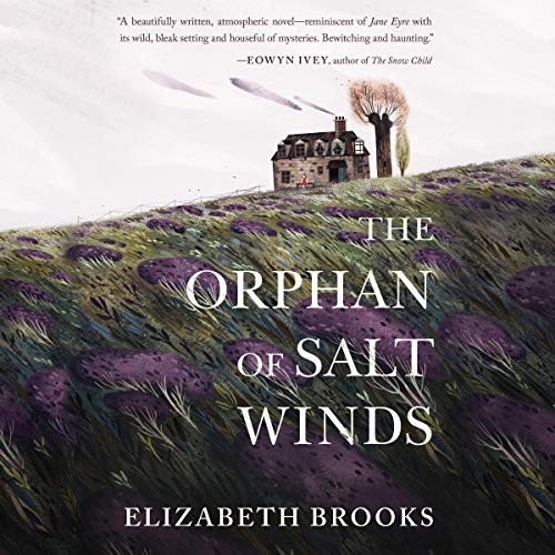 Cover of The Orphan of Salt Winds