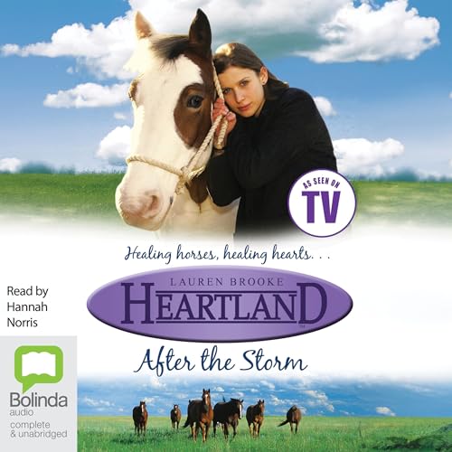 Cover of After the Storm