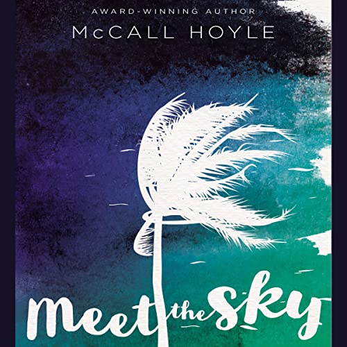 Cover of Meet the Sky