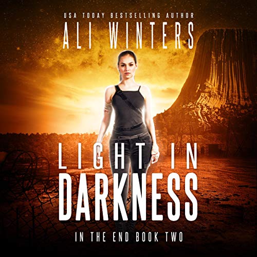 Cover of Light in Darkness