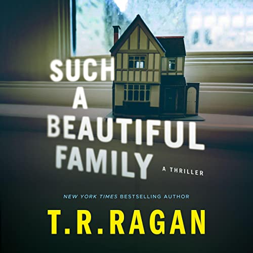 Cover of Such a Beautiful Family