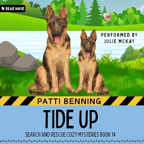Cover of Tide Up