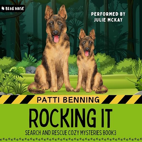 Cover of Rocking It