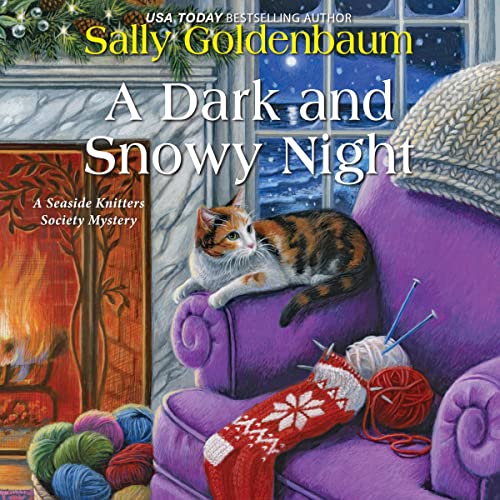 Cover of A Dark and Snowy Night